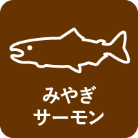 ■みやぎサーモン