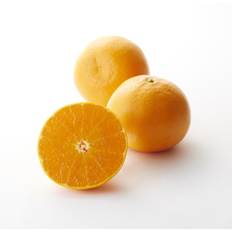 新宿高野　国産柑橘「せとか」・「デコポン」　各３個