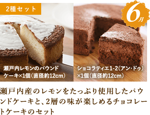 6月：瀬戸内産のレモンをたっぷり使用したパウンドケーキと、2層の味が楽しめるチョコレートケーキのセット
