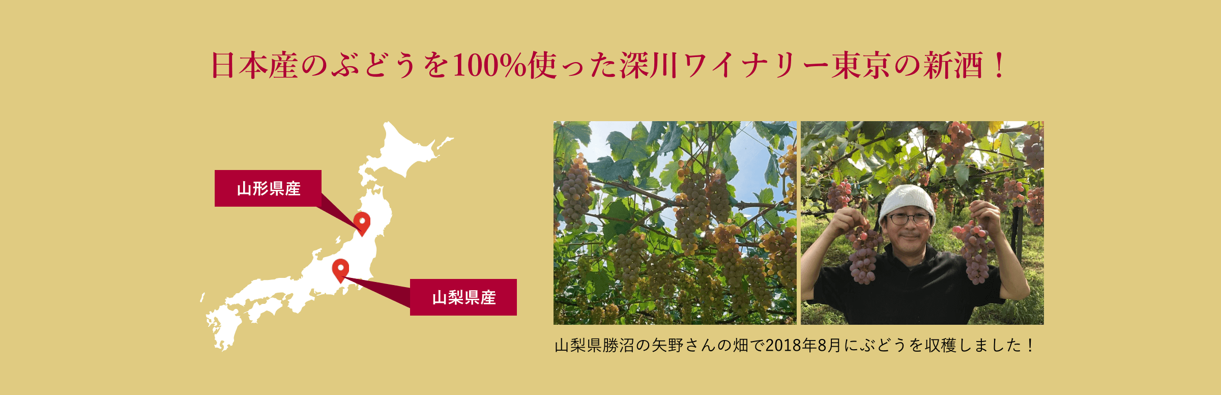 日本産ぶどうを100%使った深川ワイナリー東京の新酒！