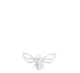 my Honey