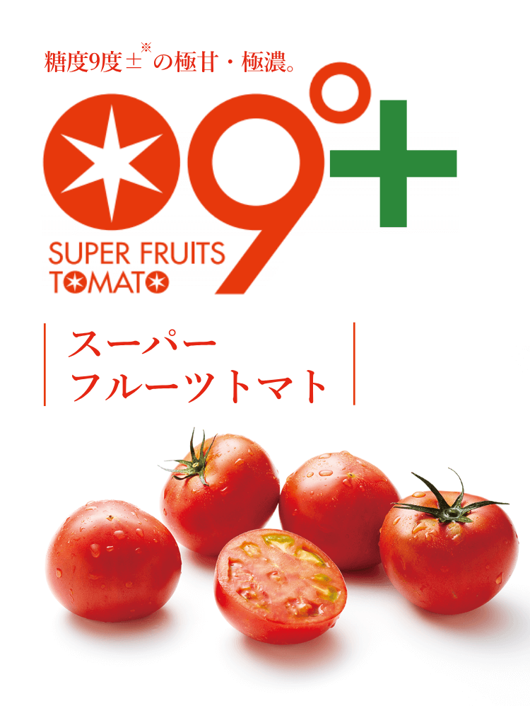 糖度9度± の極甘・極濃。スーパーフルーツトマト