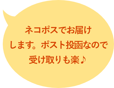 ネコポスでお届けします。ポスト投函なので受け取りも楽♪