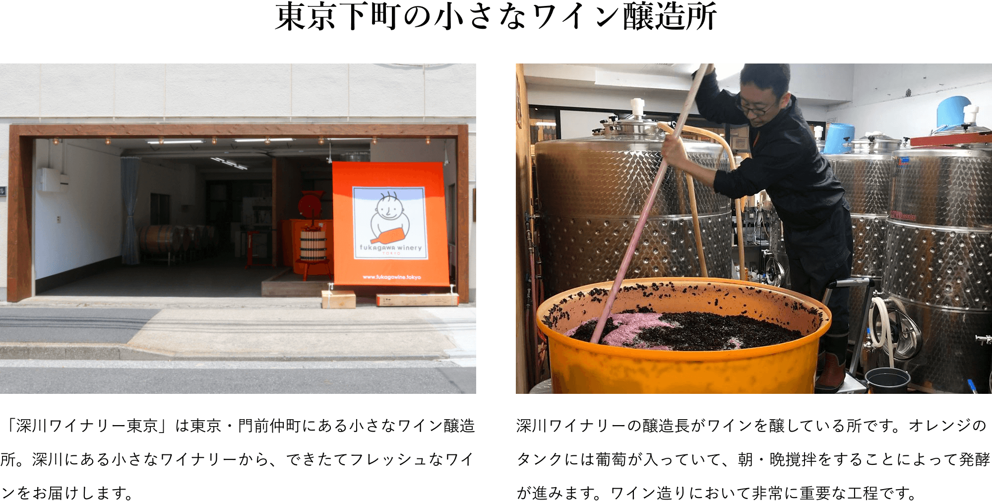 「深川ワイナリー東京」は東京・門前仲町にある小さなワイン醸造所。深川にある小さなワイナリーから、できたてフレッシュなワインをお届けします。深川ワイナリーの醸造長がワインを醸している所です。オレンジのタンクには葡萄が入っていて、朝・晩撹拌をすることによって発酵が進みます。ワイン造りにおいて非常に重要な工程です。