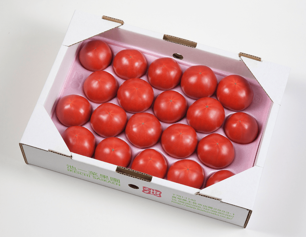 高知県産 池トマト フルーツトマトA品１㎏