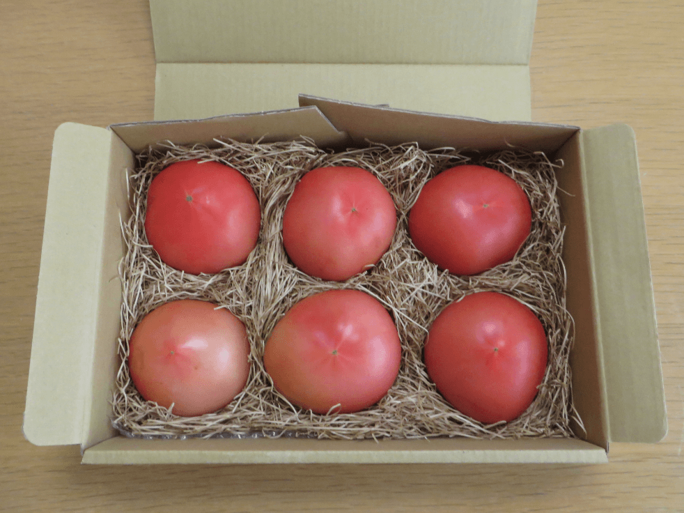 茨城県産トマト　トミーのガチトマト