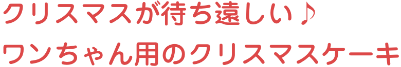 クリスマスが待ち遠しい♪ワンちゃん用のクリスマスケーキ