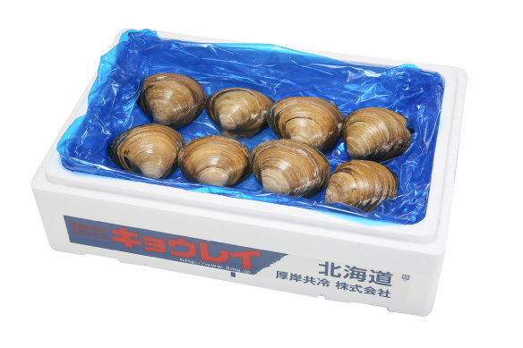 活ホッキ貝