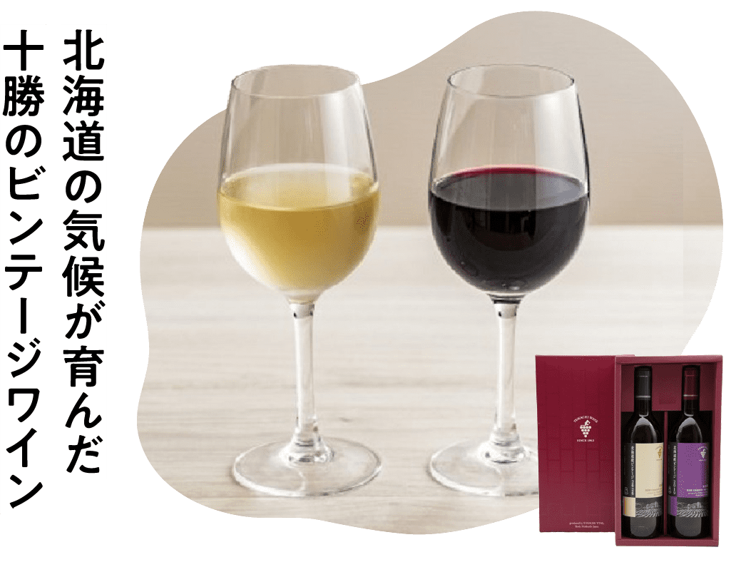 十勝ワイン 北海道産ビンテージ赤・白セット 720ml×2本