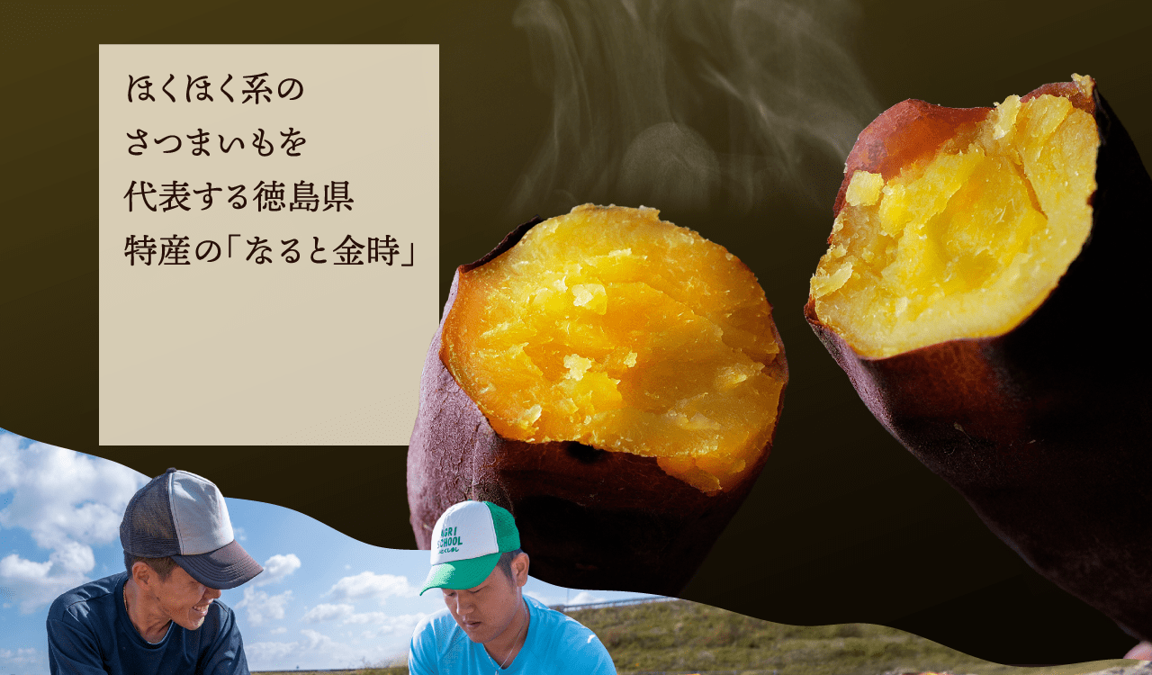 ほくほく系のさつまいもを代表する徳島県特産の「なると金時」