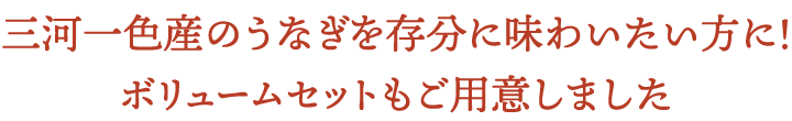 三河一色産のうなぎを存分に味わいたい方に！ボリュームセットもご用意しました