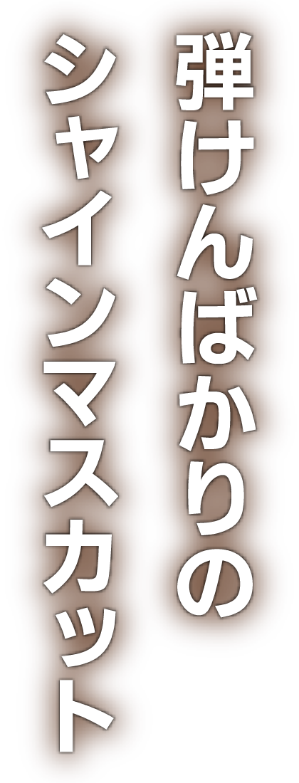 弾けんばかりのシャインマスカット