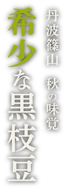 丹波篠山 秋の味覚 希少な黒枝豆