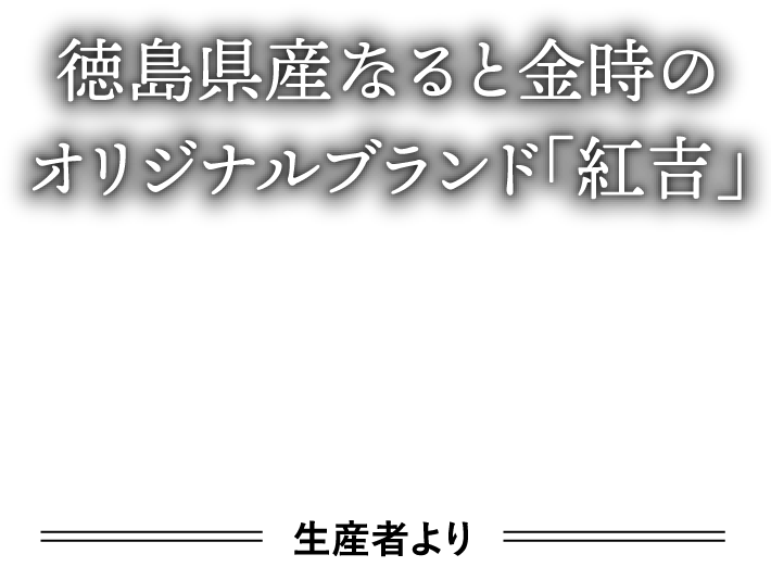 徳島県産なると金時のオリジナルブランド「紅吉」 生産者より