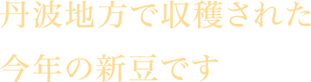 丹波地方で収穫された今年の新豆です