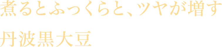 煮るとふっくらと、ツヤが増す丹波黒大豆