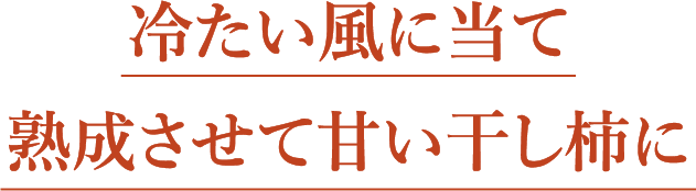 冷たい風に当て熟成させて甘い干し柿に