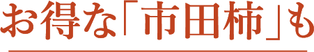 お得な「市田柿」も