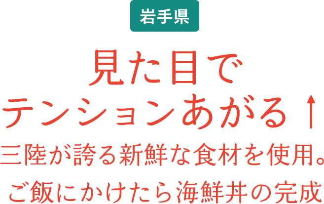 岩手県 見た目でテンションあがる 三陸が誇る新鮮な食材を使用。ご飯にかけたら海鮮丼の完成