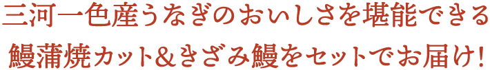 三河一色産うなぎのおいしさを堪能できる鰻蒲焼カット＆きざみ鰻をセットでお届け！