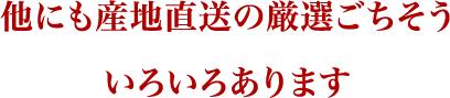 他にも産地直送の厳選ごちそういろいろあります