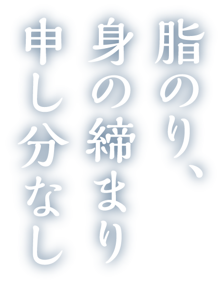 脂のり、身の締まり申し分なし