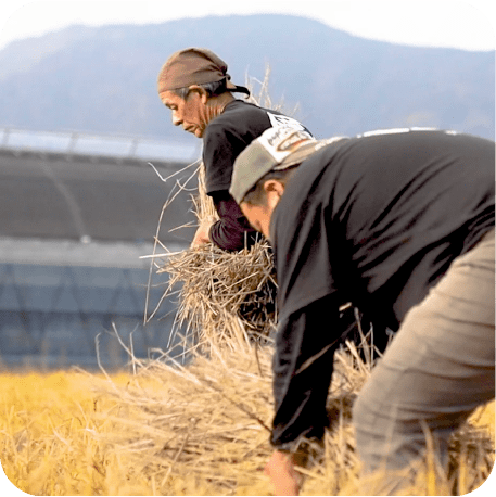 江戸時代から伝わる土佐の伝統を守り抜いた「完全ワラ焼き」製法:1