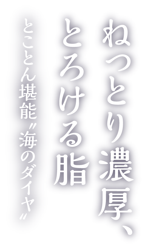 ねっとり濃厚、とろける脂