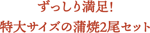 ずっしり満足！特大サイズの蒲焼2尾セット