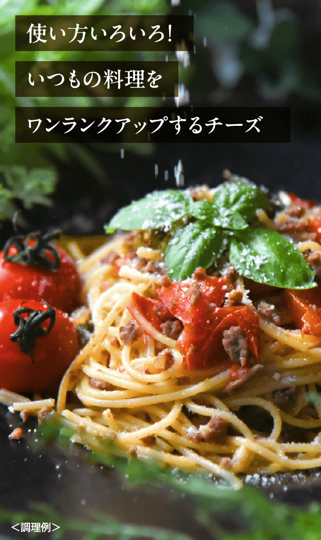 使い方いろいろ!いつもの料理をワンランクアップするチーズ