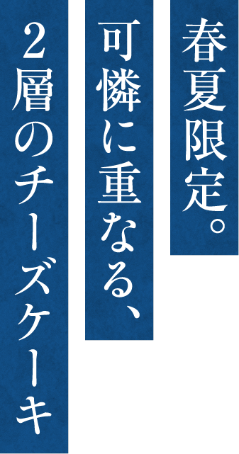 春夏限定。可憐に重なる、2層のチーズケーキ
