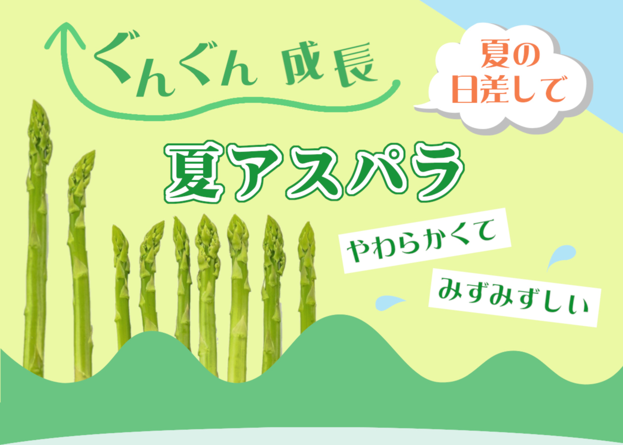 夏アスパラ特集メインビジュアル