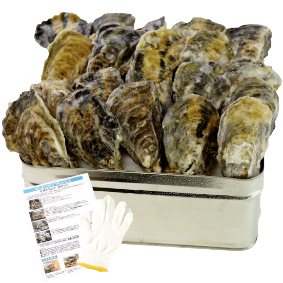 国広水産 牡蠣のかんかん焼き 1.5kg(約20〜45個入)