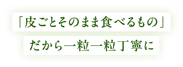 「皮ごとそのまま食べるもの」だから一粒一粒丁寧に
