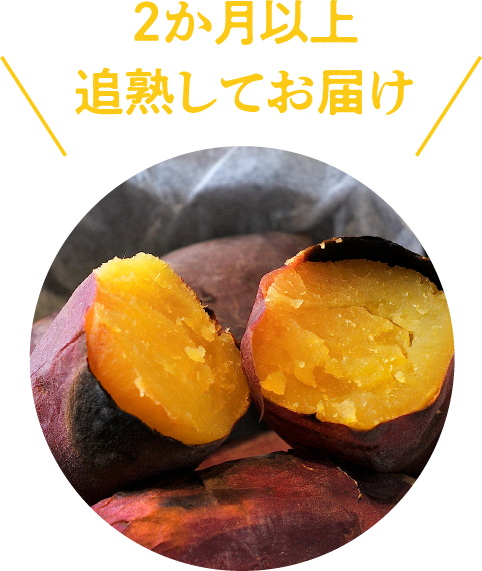 2か月以上追熟してお届け