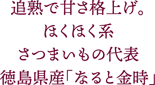 追熟で甘さ格上げ。ほくほく系さつまいもの代表徳島県産「なると金時」