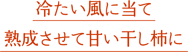 冷たい風に当て熟成させて甘い干し柿に