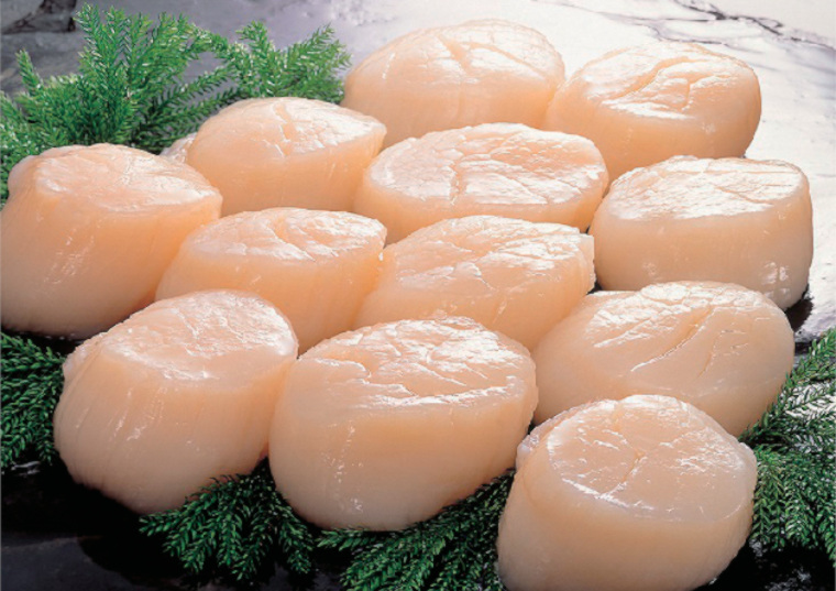 「北海道産ほたて貝柱（生食用）　２５０ｇ×２」の商品画像