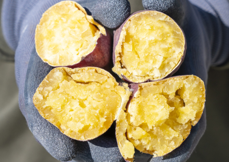 「［予約］２か月熟成徳島県産なると金時紅吉　２ｋｇ」の商品画像